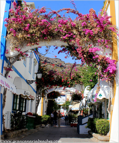 Hanging gardens in Mogan Gran Canaria