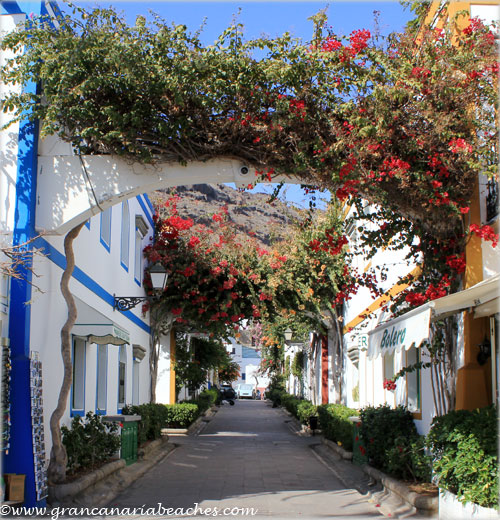 Hanging gardens in Mogan, Gran Canaria
